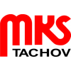 Logo - Regionaal informatiecentrum Tachov